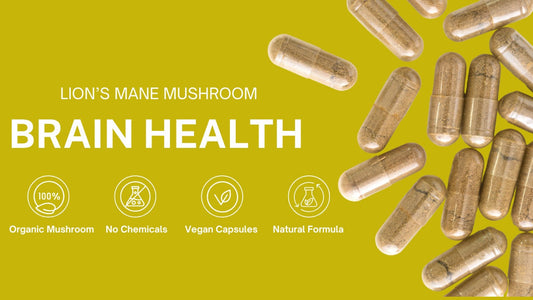 Best Lion's mane Supplement