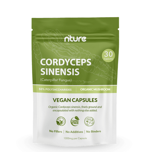 Cordyceps Sinensis Capsules