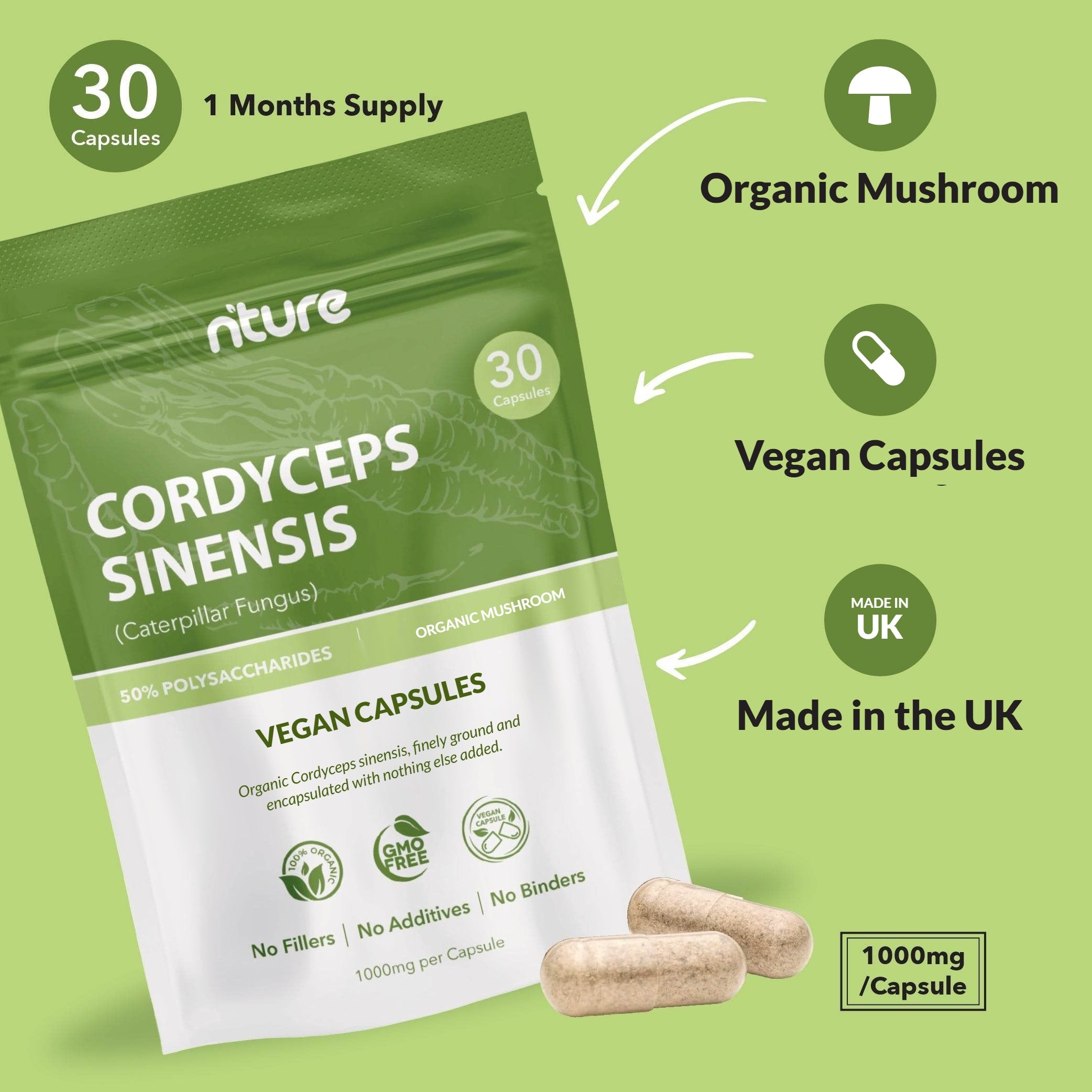 Cordyceps Sinensis Capsules
