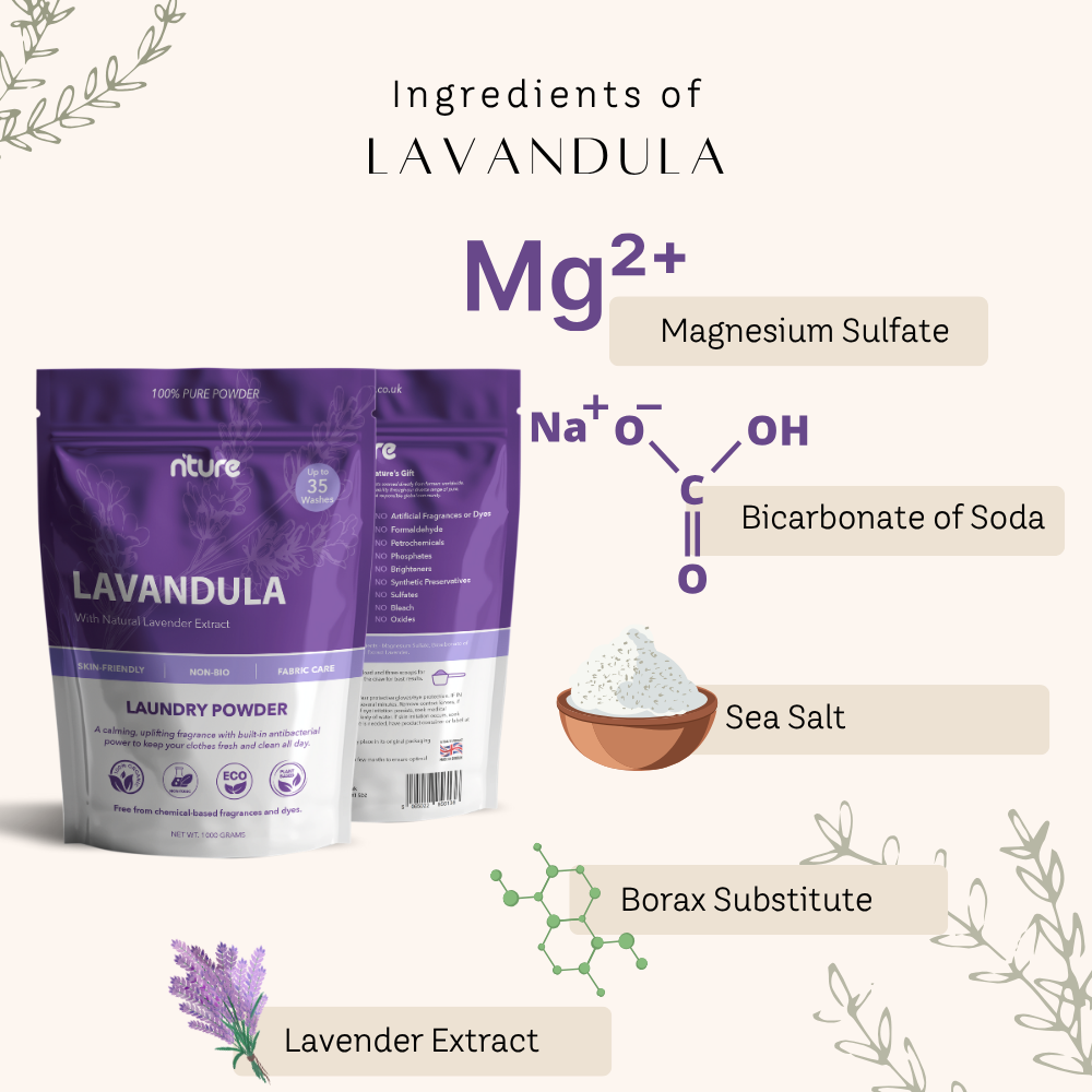 what is non-bio washing powder