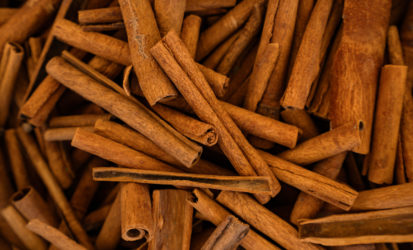 Cinnamon Capsules